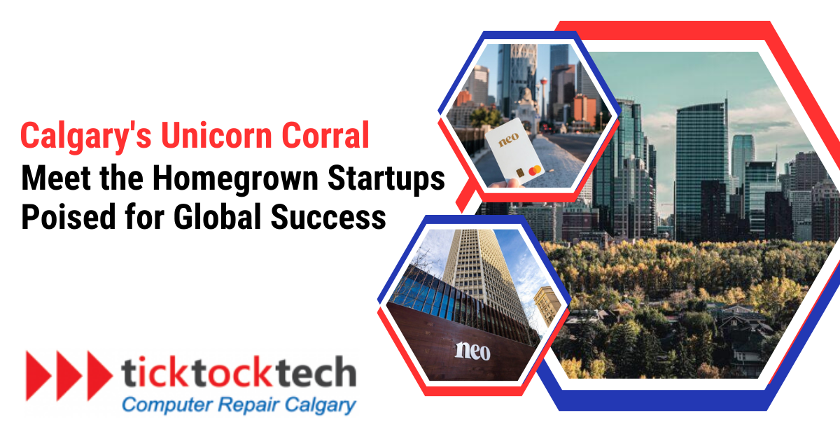 6 Calgary Homegrown Startups Poised for Global Success in 2024