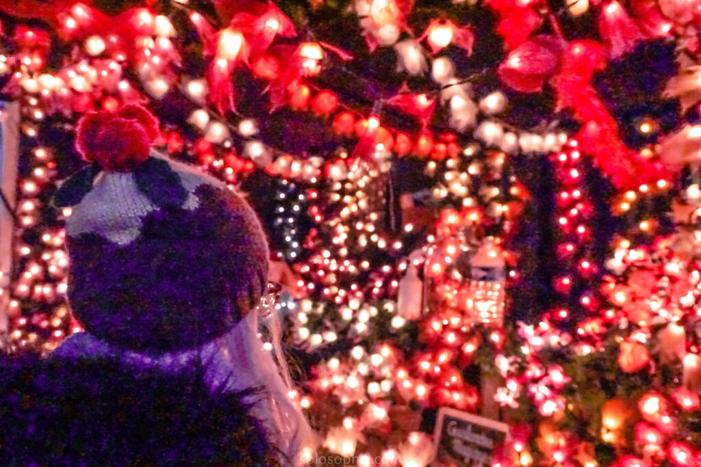 8 Best Locations for Best Christmas Lights in Salt Lake City