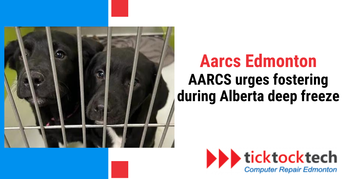 Aarcs Edmonton, AARCS urges fostering during Alberta's deep freeze.