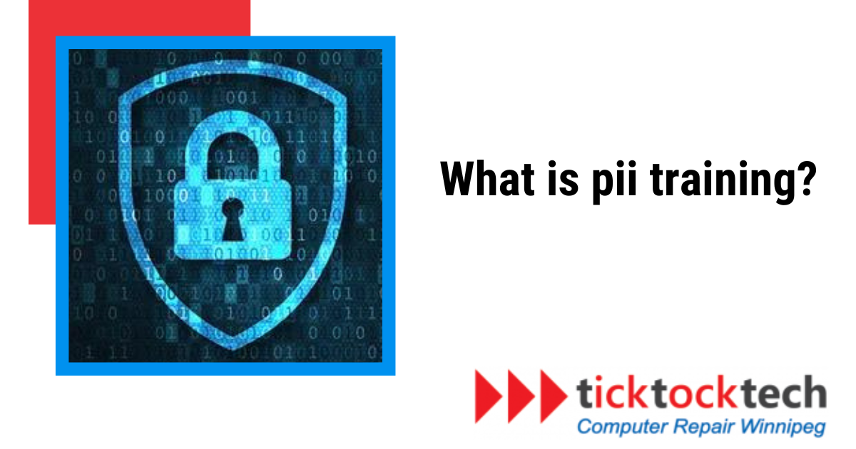 What is Pii Training? - A Guide to Personally Identifiable Information TrainingĀ