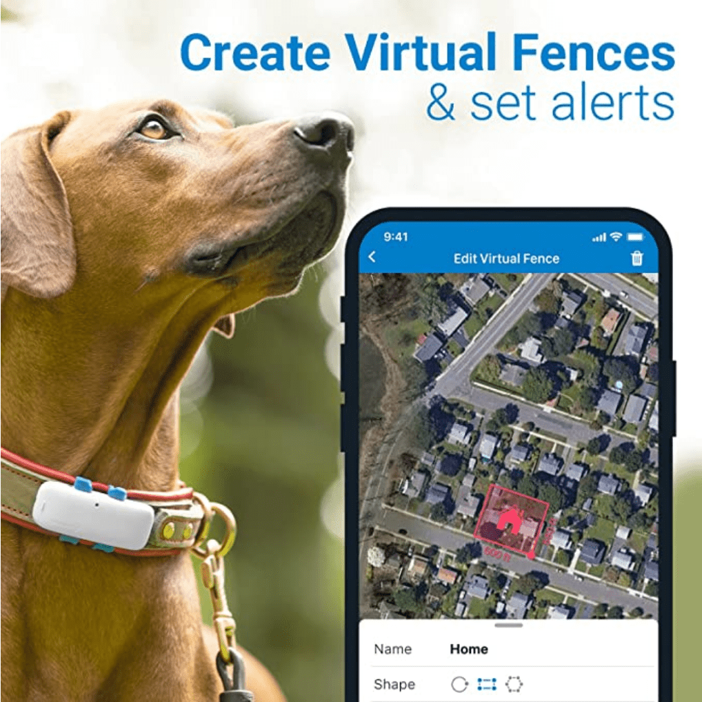 Anti barking tech gadget