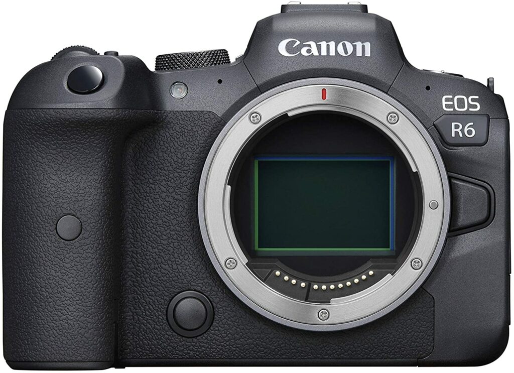 Canon EOS R6 - Best digital cameras to buy in 2022