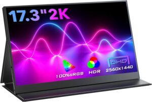 Top 8 Best Portable Monitors for Laptops 2022: