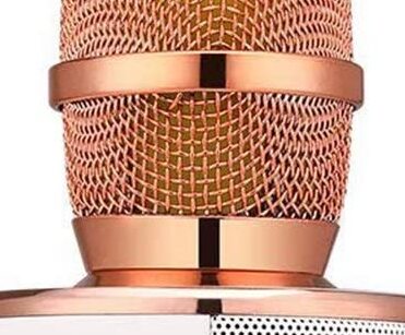 BONAOK Wireless Bluetooth Karaoke Microphone