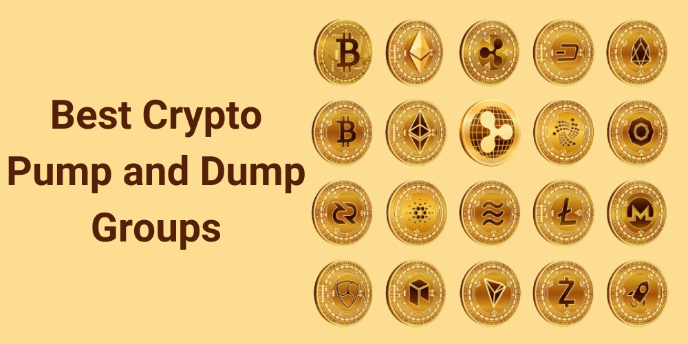 Best Crypto Pump and Dump Groups