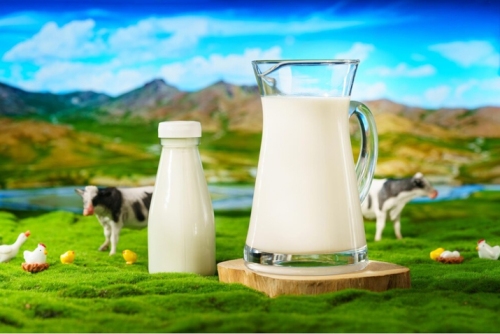 Dairy milk - Best Healthful Foods to Gain Weight Fast