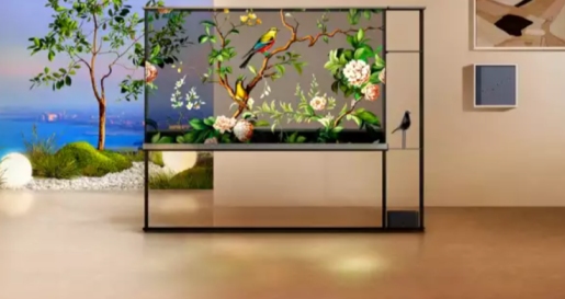 A TV that you look through - Weirdest Tech at CES 2024