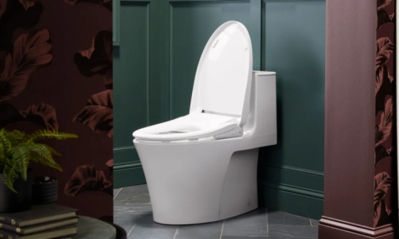 A toilet you can speak to - Weirdest Tech at CES 2024