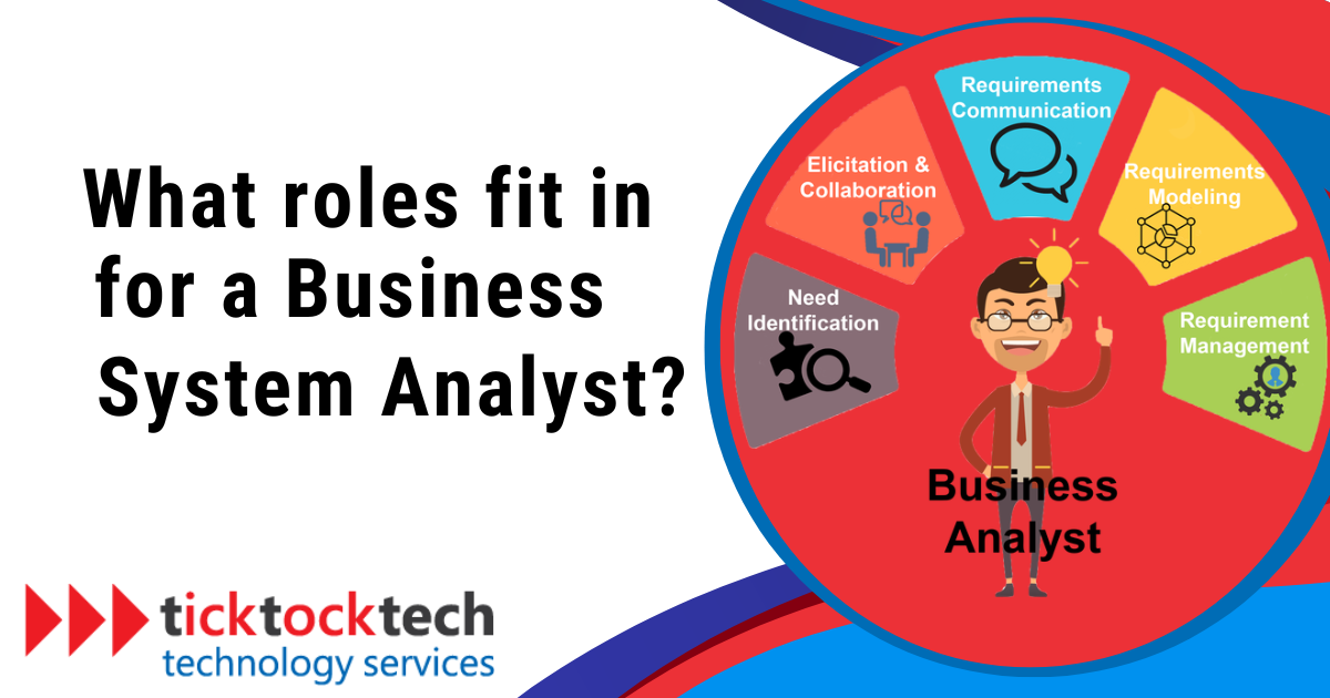 What Roles fit in for a Business Systems Analyst